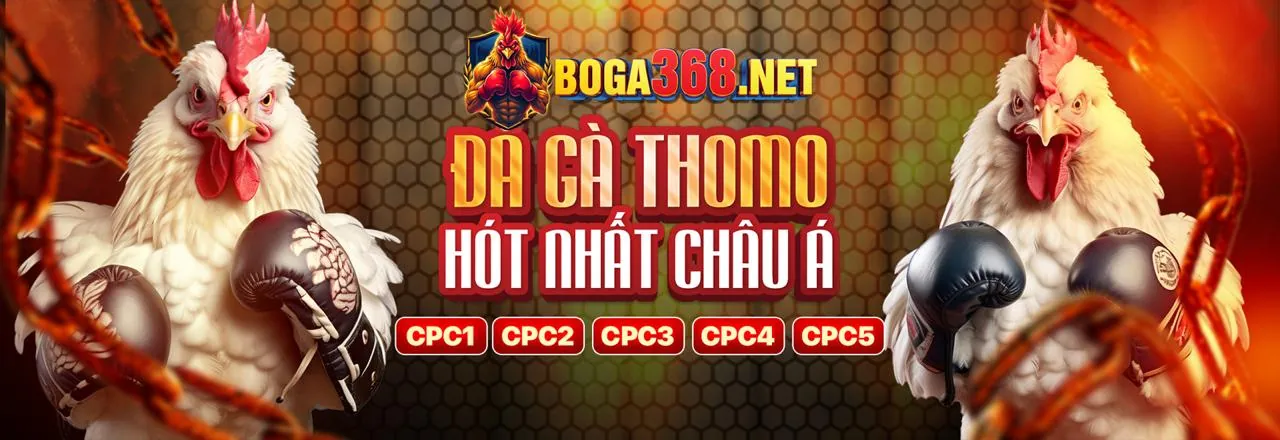 Sân Đấu Đá Gà Trực Tuyến Hấp Dẫn tại pe789